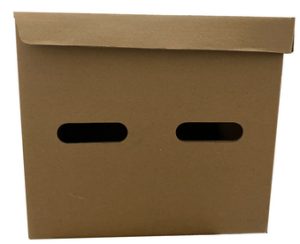Box Arsip Kendal