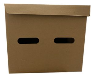 Box Arsip Pagar Alam